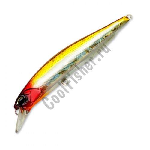  DUO Realis Jerkbait 100   14.5  #D33