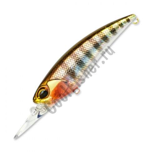  DUO Realis Shad 59MR  4.7  #D58