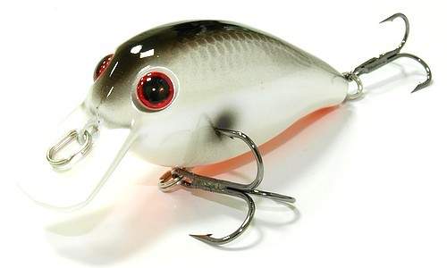 Classical Leader 55SR