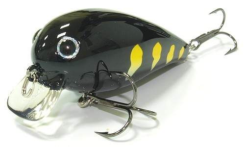 Classical Leader 55SSR