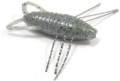   Reins Insecter 1.6 006 Blue Gill
