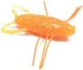   Reins Insecter 1.6 413 Chika Chika Orange