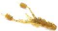   Reins Ring Shrimp 2 402 Matsushima SP
