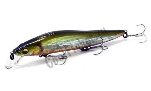  Megabass Vision Oneten LBO 11.5 14 Wagin Oikawa