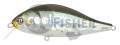  PONTOON21  Bet-A-Shad 75SP-SR, 75, 13.2 ., 0.2-0.4 ., 005