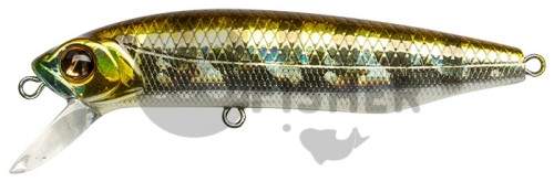  PONTOON21 Dexter Minnow 71S-SR, 71 ., 9.75 ., 0.8-1.8, 007