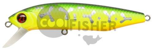  PONTOON21 Dexter Minnow 93S-SR, 93 ., 16.4 ., 1-2.5 ., 070
