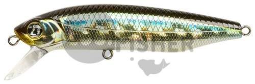  PONTOON21 Dexter Minnow 93SP-SR, 93 ., 13.5 ., 0.8-1.5., 005