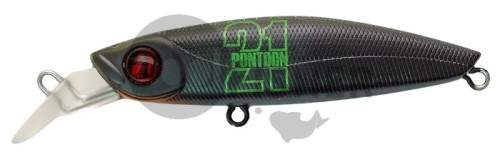  PONTOON21  GagaGoon 55SS-SR, 55, 4.6 ., 0.5-1.0 ., 321