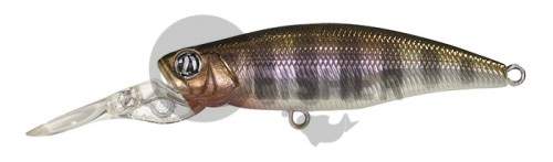  PONTOON21 PREFERENCE SHAD 55F-DR, 55 .,3.9 ., 0.8-1.2,  A07