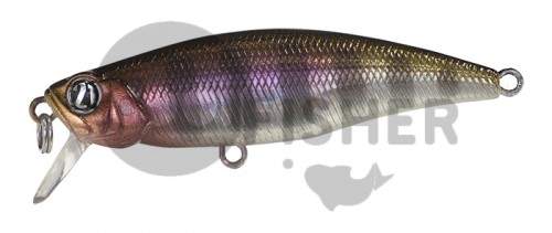  PONTOON21 PREFERENCE SHAD 55F-SR, 55 .,3.3 ., 0.3-0.5,  A07