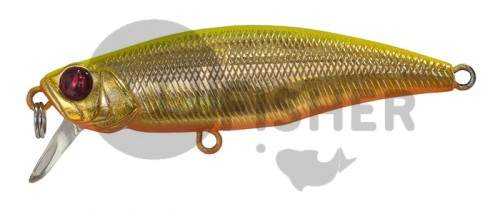  PONTOON21 PREFERENCE SHAD 55F-SR, 55 .,3.3 ., 0.3-0.5,  A63