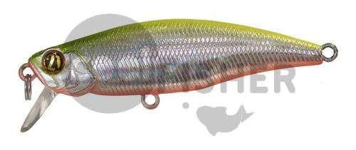  PONTOON21 PREFERENCE SHAD 55SP-SR, 55 .,5.4 ., 0.4-0.6,  A62