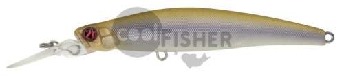  PONTOON21 PREFERENCE MINNOW  75F-SR, 75 .,4.8 ., 0.3-0.5,  A30