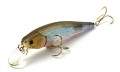  Lucky Craft SW Pointer 100 - 738 Salty Ghost Minnow