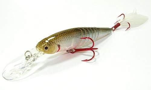 Live Pointer 80D2R Live Pointer 80D2R