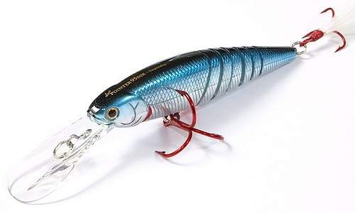 Live Pointer 95D2R Live Pointer 95D2R