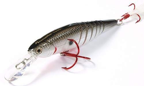 Live Pointer 95DD Live Pointer 95DD