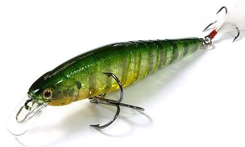 Live Pointer 95MR Live Pointer 95MR