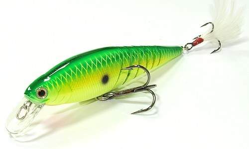 Live Pointer 110MR Live Pointer 110MR