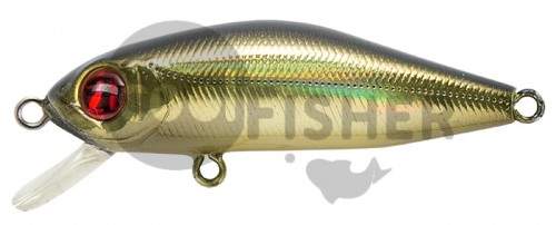  PONTOON21 Crackjack 38SP-MR, 38., 2.5., .0.7-1.0 .,  R22