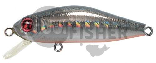  PONTOON21 Crackjack 48F-MR, 48., 3.3., .1.5-1.7 .,  211