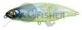  PONTOON21  Danzante J 100F-SSR, 100, 17.1 ., 0.3-0.5 ., 802