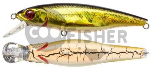  PONTOON21 Greedy-Guts 44F-SR, 44, 2.10 ., 0.3-0.6 ., 402