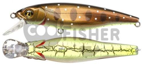  PONTOON21 Greedy-Guts 55F-SR, 55, 3,9 ., 0.5-0.8 ., 429