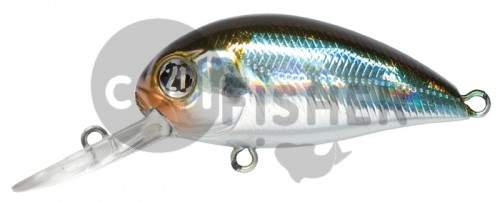  PONTOON21 Hypnose 38F-MDR, 38., 4 ., .  1,2 .,  005