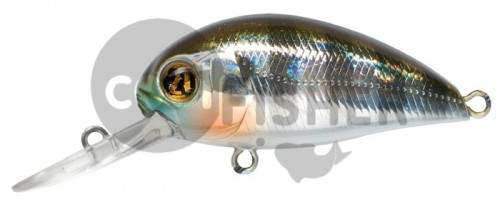  PONTOON21 Hypnose 38F-MDR, 38., 4 ., .  1,2 .,  007