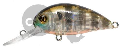 PONTOON21 Hypnose 38F-MDR, 38., 4 ., .  1,2 .,  008