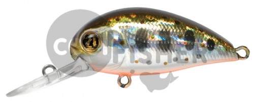  PONTOON21 Hypnose 38F-MDR, 38., 4 ., .  1,2 .,  050