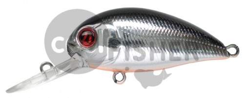 PONTOON21 Hypnose 38F-MDR, 38., 4 ., .  1,2 .,  051