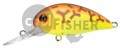  PONTOON21 Hypnose 38F-MDR, 38., 4 ., .  1,2 .,  075