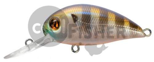  PONTOON21 Hypnose 38F-MDR, 38., 4 ., .  1,2 .,  108