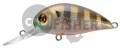  PONTOON21 Hypnose 38F-MDR, 38., 4 ., .  1,2 .,  108