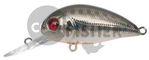  PONTOON21 Hypnose 38F-MDR, 38., 4 ., .  1,2 .,  211