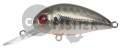  PONTOON21 Hypnose 38F-MDR, 38., 4 ., .  1,2 .,  211