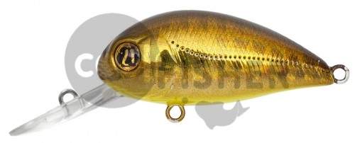  PONTOON21 Hypnose 38F-MDR, 38., 4 ., .  1,2 .,  213