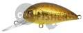  PONTOON21 Hypnose 38F-MDR, 38., 4 ., .  1,2 .,  213