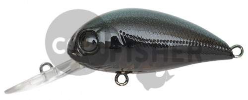  PONTOON21 Hypnose 38F-MDR, 38., 4 ., .  1,2 .,  327