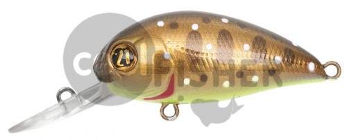  PONTOON21 Hypnose 38F-MDR, 38., 4 ., .  1,2 .,  729