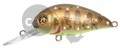  PONTOON21 Hypnose 38F-MDR, 38., 4 ., .  1,2 .,  729
