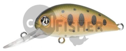  PONTOON21 Hypnose 38F-MDR, 38., 4 ., .  1,2 .,  R02