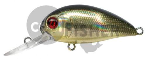  PONTOON21 Hypnose 38F-MDR, 38., 4 ., .  1,2 .,  R22