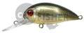  PONTOON21 Hypnose 38F-MDR, 38., 4 ., .  1,2 .,  R22