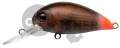  PONTOON21 Hypnose 38F-MDR, 38., 4 ., .  1,2 .,  R42