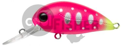  PONTOON21 Hypnose 38F-MDR, 38., 4 ., .  1,2 .,  R44
