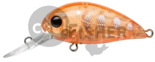  PONTOON21 Hypnose 38F-MDR, 38., 4 ., .  1,2 .,  R46